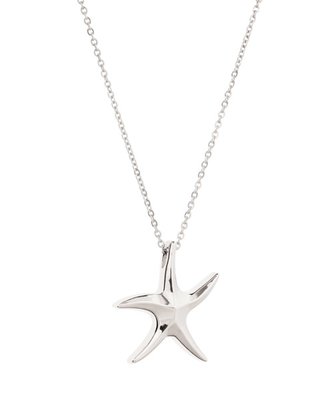 Stainless Steel Starfish Necklace